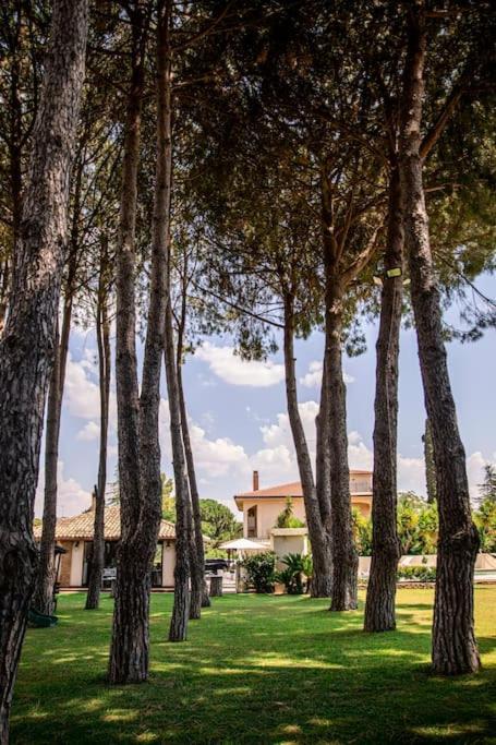 Villa Laoconte Piscina, Jacuzzi E Biliardo Canicattì Extérieur photo